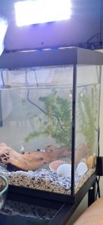 Aquarium SuperFish 30 liter met ledverlichting compleet, Dieren en Toebehoren, Vissen | Aquaria en Toebehoren, Zo goed als nieuw