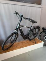 Elektrische herenfiets PEGASUS RAVENNA EVO5 Belt BOSCH, Overige merken, Versnellingen, Ophalen of Verzenden, Zo goed als nieuw