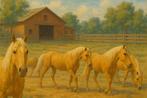 Boerderij/paardenaccommodatie/Huis met paardenstal, Huizen en Kamers, Op zoek naar een huis