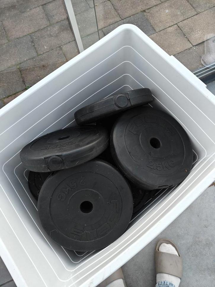 Halter schijven (meerdere kgs) 33mm, Sport en Fitness, Fitnessmaterialen, Zo goed als nieuw, Halterschijven, Ophalen