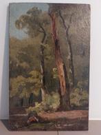 Jan Willem Borselen, Studie Boslandschap, Olieverf op paneel, Ophalen of Verzenden