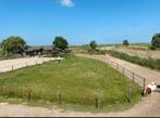 Plekje vrij voor pony (stal, weide, track, paddock paradise), Dieren en Toebehoren, Stalling en Weidegang, Stalling