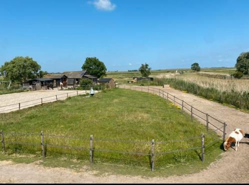 Stalling vrij. Padock paradise, stallen, wei, track,, Dieren en Toebehoren, Stalling en Weidegang, Stalling