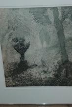 Grote ets Rinse Heidema, Antiek en Kunst, Kunst | Etsen en Gravures, Ophalen
