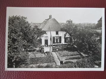Slijk - Ewijk boerderij aan de Waaldijk oude ansichtkaart:  beschikbaar voor biedingen