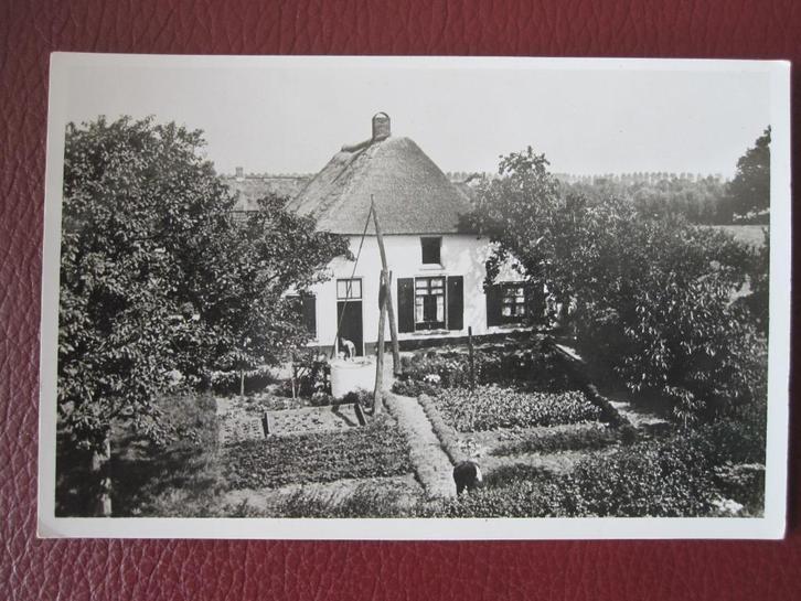 Slijk - Ewijk boerderij aan de Waaldijk oude ansichtkaart:, Verzamelen, Ansichtkaarten | Nederland, Ongelopen, Gelderland, 1940 tot 1960