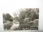 8776 ESBEEK, vijver 1948 fotokaart, Verzenden, 1940 tot 1960