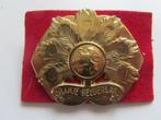 baret embleem  REGIMENT INFANTERIE ORANJE GELDERLAND, Ophalen of Verzenden, Nederland, Embleem of Badge
