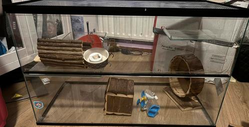 Terrarium met toebehoren hamsters/gerbils, Dieren en Toebehoren, Knaagdieren en Konijnen | Hokken en Kooien, Zo goed als nieuw
