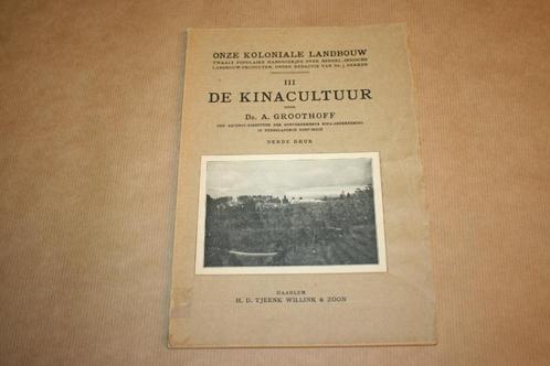 De Kinacultuur - Onze koloniale landbouw - 1925 !!, Boeken, Geschiedenis | Vaderland, Nieuw, Ophalen of Verzenden