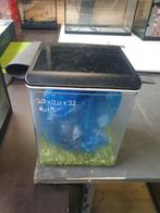 Garnalenbak aquarium nano 20x20x22, Ophalen, Zo goed als nieuw, Leeg aquarium, X