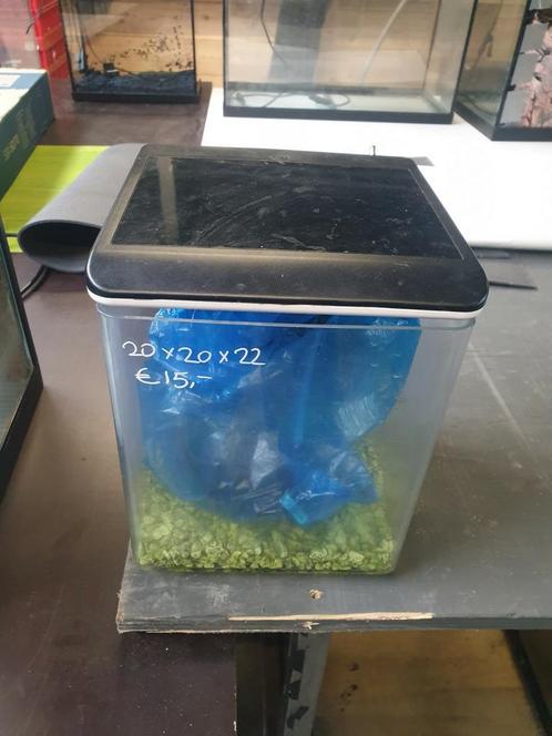 Garnalenbak aquarium nano 20x20x22, Dieren en Toebehoren, Vissen | Aquaria en Toebehoren, Zo goed als nieuw, Leeg aquarium, Ophalen