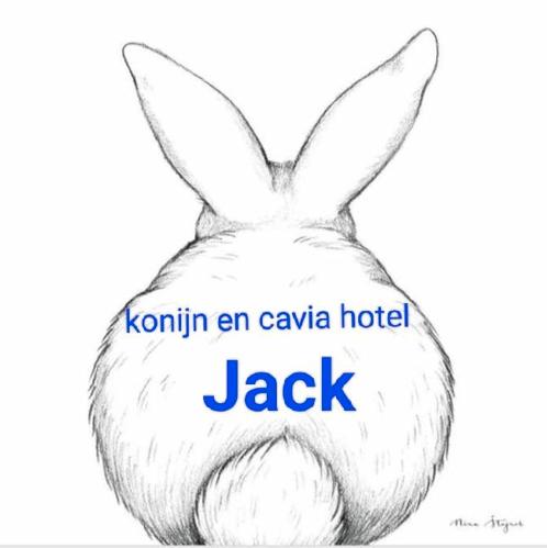 Konijn en Cavia hotel Jack., Diensten en Vakmensen, Dieren | Honden | Verzorging, Oppas en Les