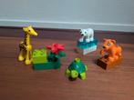Duplo dierentuin dieren, Ophalen of Verzenden, Zo goed als nieuw, Duplo