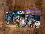 Lego 75967 Harry Potter Forbidden Forest, Kinderen en Baby's, Speelgoed | Duplo en Lego, Ophalen of Verzenden, Zo goed als nieuw