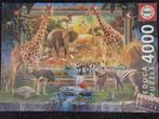 puzzel 4000 stukjes, Ophalen of Verzenden, Meer dan 1500 stukjes, Zo goed als nieuw, Legpuzzel