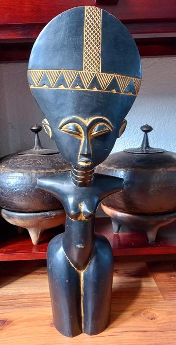 Akuba zeer groot zwart hout uit Ghana beschikbaar voor biedingen