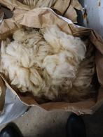 Schapenwol, Hobby en Vrije tijd, Ophalen of Verzenden, Spinwol