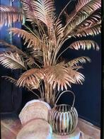 Grote Gouden Palm in Pot, Huis en Inrichting, Kamerplanten, Ophalen, Palm, Halfschaduw, In pot