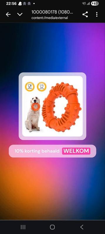 Ultiem kauwspeelgoed beschikbaar voor biedingen