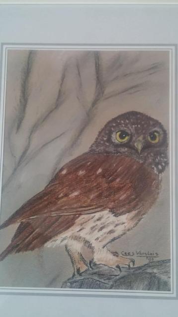 Uil en eend, 2 mooie pastel schilderijen van Cees Versluis. beschikbaar voor biedingen