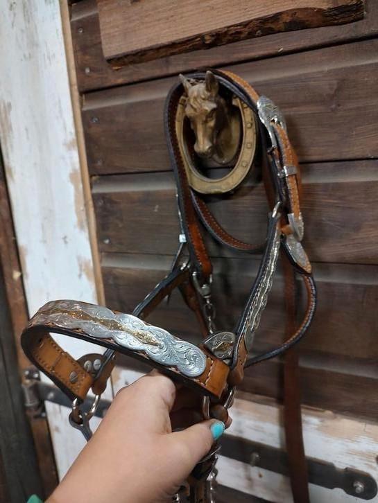 Circle y western showhalster, Dieren en Toebehoren, Paarden en Pony's | Hoofdstellen en Tuigage, Western, Ophalen of Verzenden