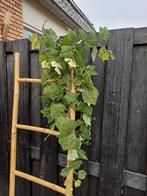 Prachtige kunst hangplant nieuw H 120 cm, Huis en Inrichting, Ophalen of Verzenden, Nieuw