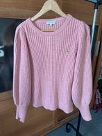 Fabienne Chapot Marianne Pullover Maat M, Kleding | Dames, Truien en Vesten, Maat 38/40 (M), Ophalen of Verzenden, Zo goed als nieuw
