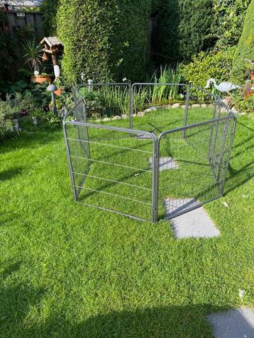 Hondenren/puppyren te koop beschikbaar voor biedingen