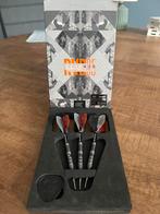 Raymond van barneveld dart pijlen, Ophalen of Verzenden, Zo goed als nieuw, Pijlen