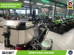 Triumph Tiger 900 Rally Aragon Edition (bj 2023), Motoren, Motoren | Triumph, 888 cc, Motorrijbewijs A, Bedrijf, Meer dan 35 kW