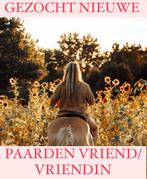 Gezocht nieuwe paarden vriend/vriendin, Dieren en Toebehoren, Paarden en Pony's | Dekens en Dekjes, Ophalen of Verzenden