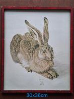 Albrecht Dürer - Haas, Antiek en Kunst, Kunst | Schilderijen | Klassiek, Ophalen