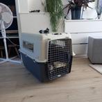 Hondenkennel hondebox transpotkennel, Ophalen, Zo goed als nieuw