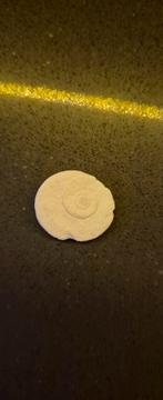 Fossiel van een ammoniet, Ophalen of Verzenden, Fossiel