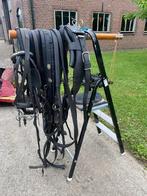 Compleet enkelspan hoofdstel met sierbeslag, Dieren en Toebehoren, Paarden en Pony's | Hoofdstellen en Tuigage, Ophalen of Verzenden