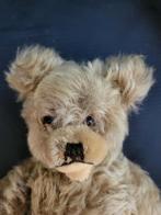 Antiek STEIFF Beer, Ophalen of Verzenden