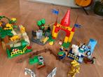 Duplo dierentuin/ zoo 4960, Ophalen of Verzenden, Gebruikt, Complete set, Duplo