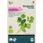 ZADENZAKJE Koriander (Coriandrum sativum) 100% biologisch, Ophalen of Verzenden, Zaad