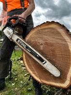 Bomen kappen & zagen - Gratis, Ophalen, Overige typen