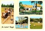 ROGGEL,- Camping ,,De Leistert" Ponny's- Restaurant. 02-02, Ophalen of Verzenden, 1980 tot heden, Gelopen, Limburg