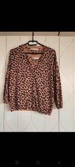 Zara, Kleding | Dames, Zara, Ophalen of Verzenden, Zo goed als nieuw, Maat 42/44 (L)