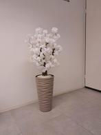 Bloesemboom, Ophalen, Nieuw, Binnen