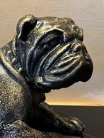 Gietijzeren Bulldog, Ophalen of Verzenden, Zo goed als nieuw, Beeldje of Figuurtje