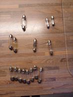 Festoen lampjes, Ophalen of Verzenden