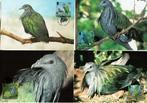 solomon isl 1993 set wwf fdc manenduiven vogels birds, Postzegels en Munten, Ophalen of Verzenden, Gestempeld, Dier of Natuur