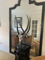 Hele grote Skull / schedel Rofra, Huis en Inrichting, Woonaccessoires | Overige, Ophalen, Zo goed als nieuw