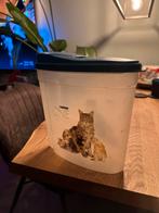 Brokjes houder kat (of hond), Dieren en Toebehoren, Dierenvoeding, Ophalen, Kat