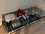 Ferplast hok voor konijn of cavia 160 cm (bijna) NIEUW, 110 cm of meer, Nieuw, Hok, Hamster