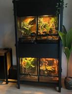 Nog 1 exo Terra terrarium 45x45x60, Dieren en Toebehoren, Ophalen, Gebruikt, Terrarium of Paludarium
